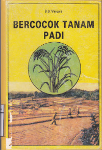 Bercocok Tanam Padi